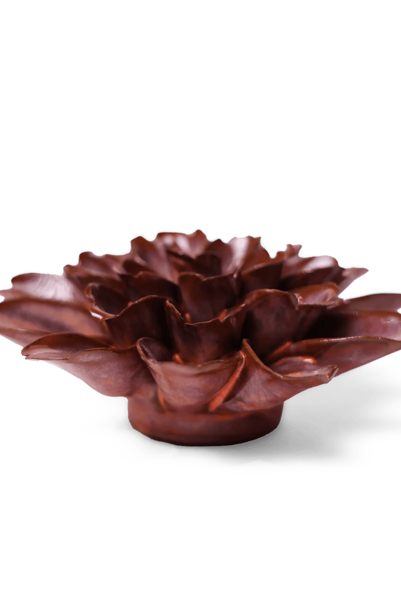 JA19 Peach Mocha Cornflower - Chive US Wholesale
