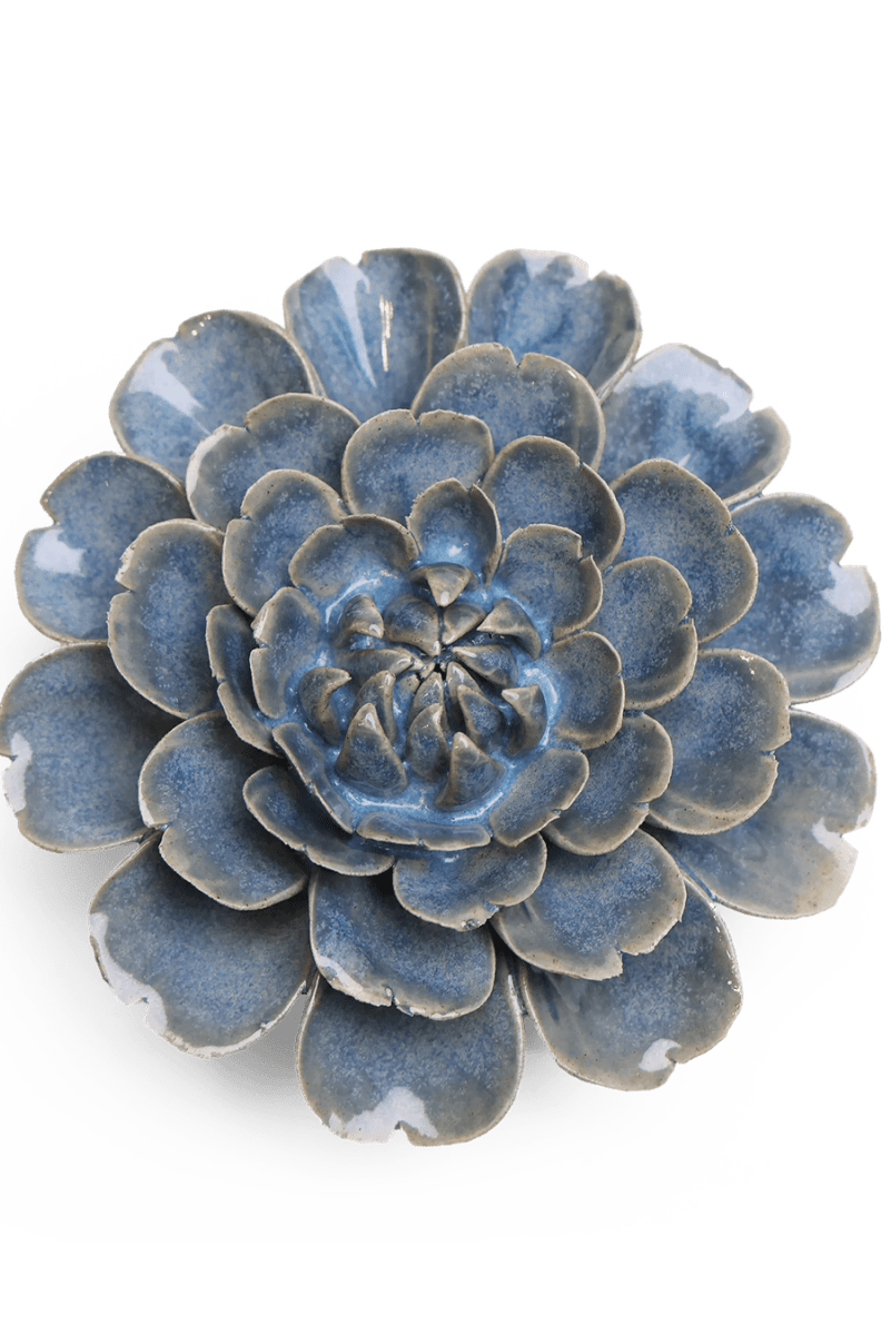 JA21 Fancy Blue Fiesta Marigold - Chive US Wholesale