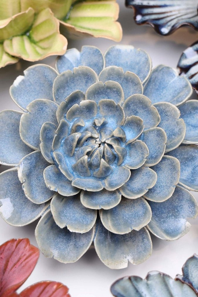 JA21 Fancy Blue Fiesta Marigold - Chive US Wholesale