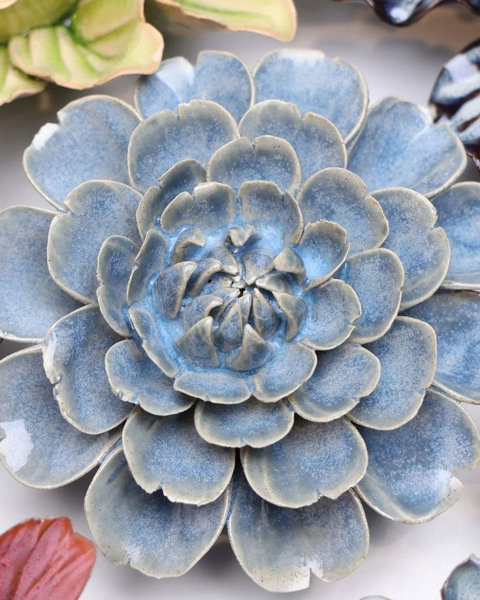 JA21 Fancy Blue Fiesta Marigold - Chive US Wholesale