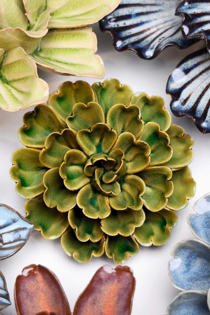 JA24 Avocado Green Petunia - Chive US Wholesale