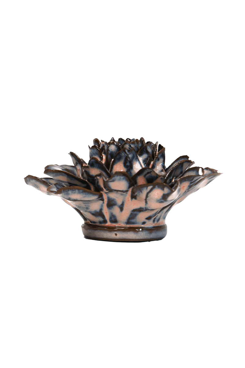JA29 Pink Blue King Protea - Chive US Wholesale