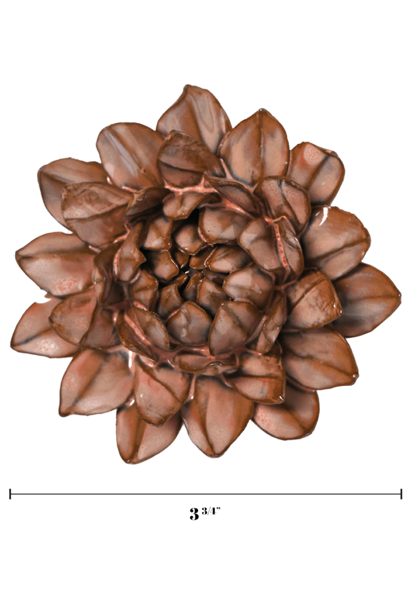 JA30 Chestnut Sugarbush Protea - Chive US Wholesale