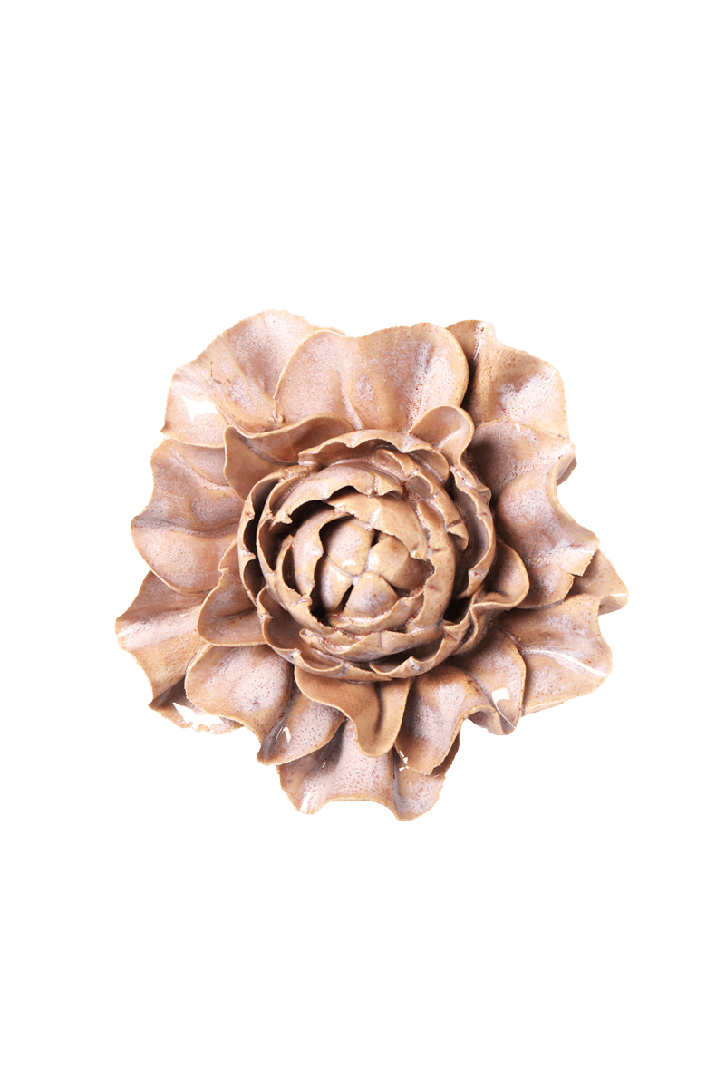 JA34 Pink Sand Hibiscus - Chive US Wholesale