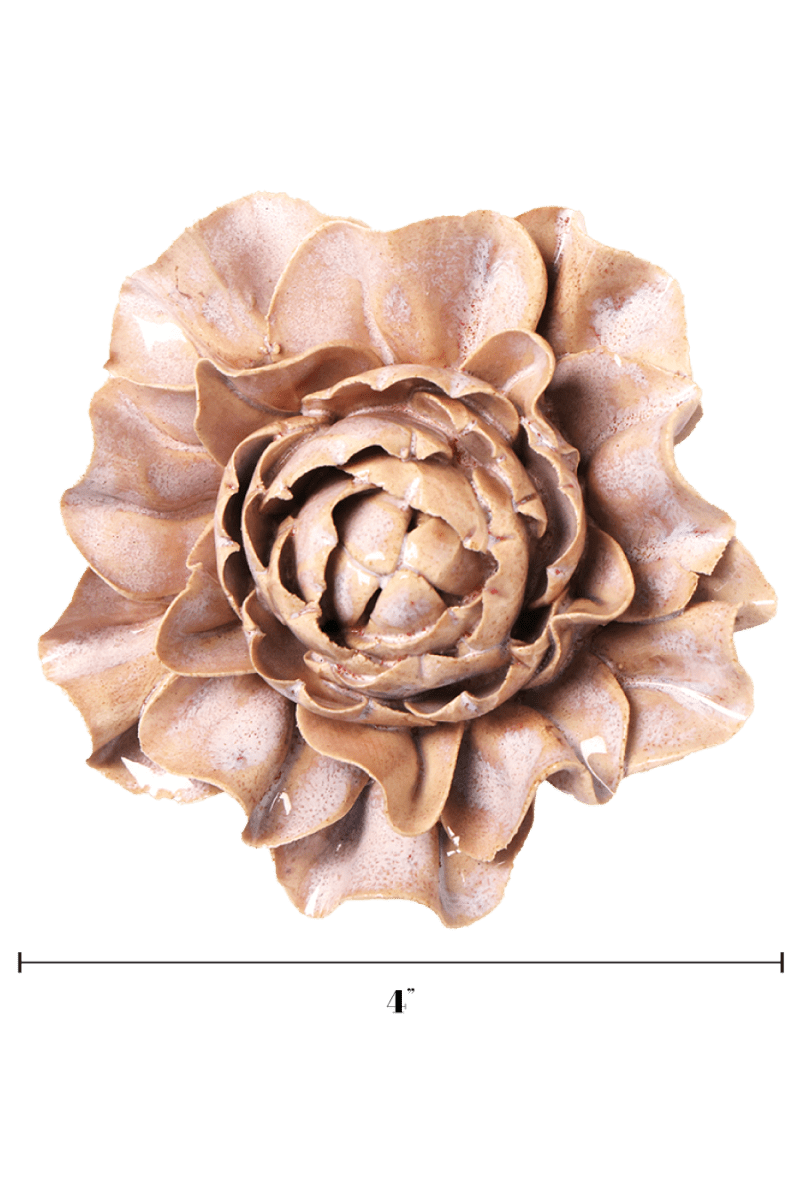 JA34 Pink Sand Hibiscus - Chive US Wholesale