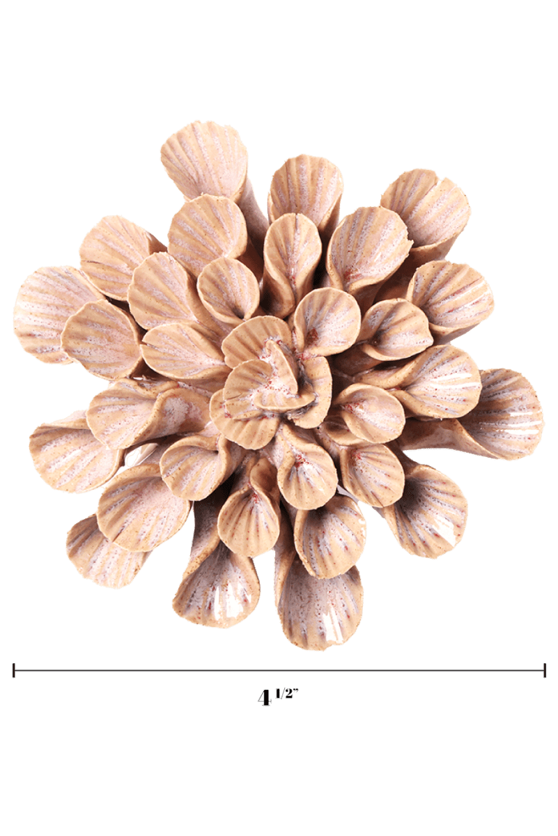 JA37 Pink Sand Great Star - Chive US Wholesale
