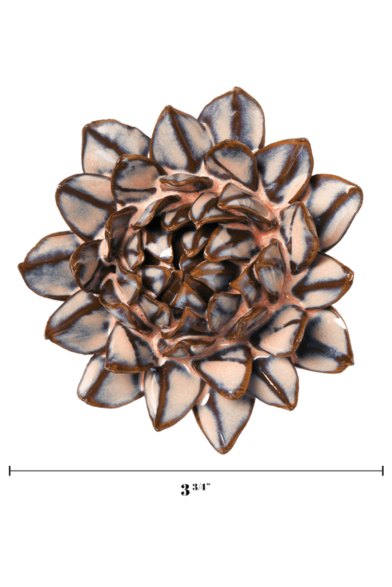 JA48 Pink Blue Sugarbush Protea - Chive US Wholesale