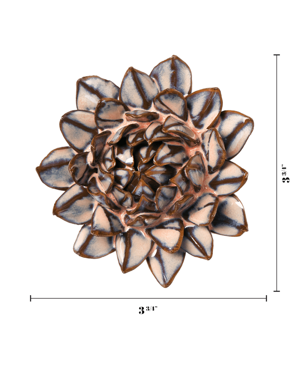 JA48 Pink Blue Sugarbush Protea - Chive US Wholesale