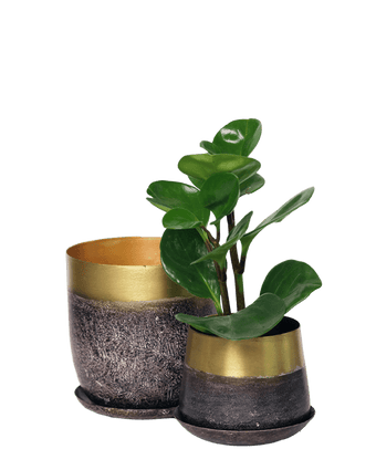 Joe Metal Pot With Drainage Hole - Chive US Wholesale