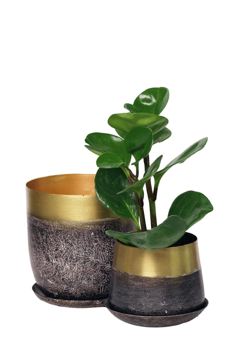 Joe Metal Pot With Drainage Hole - Chive US Wholesale