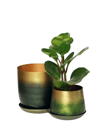 Joe Metal Pot With Drainage Hole - Chive US Wholesale