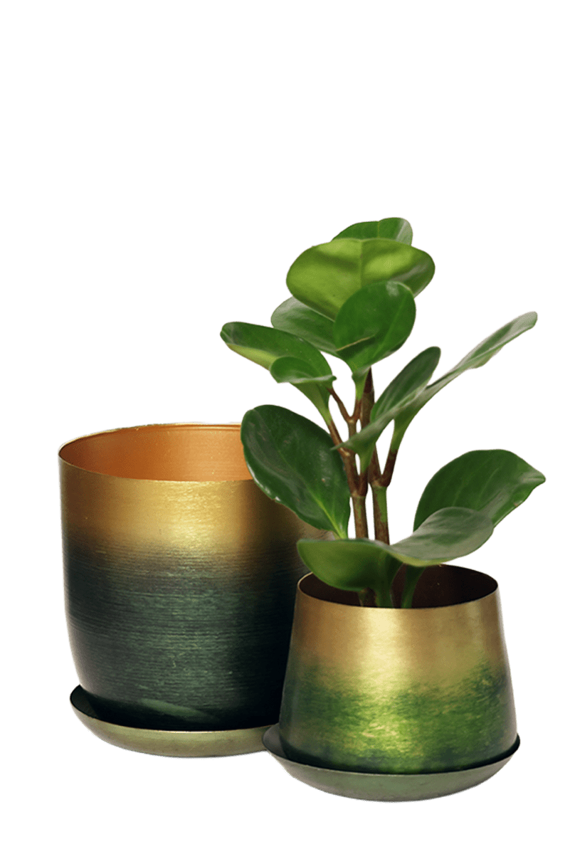 Joe Metal Pot With Drainage Hole - Chive US Wholesale