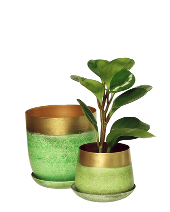 Joe Metal Pot With Drainage Hole - Chive US Wholesale