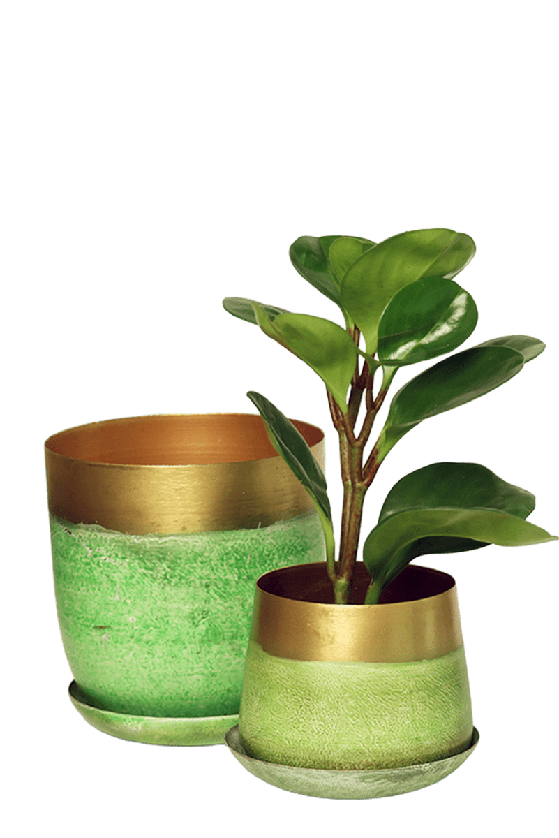 Joe Metal Pot With Drainage Hole - Chive US Wholesale