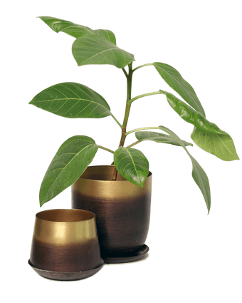 Joe Metal Pot With Drainage Hole - Chive US Wholesale