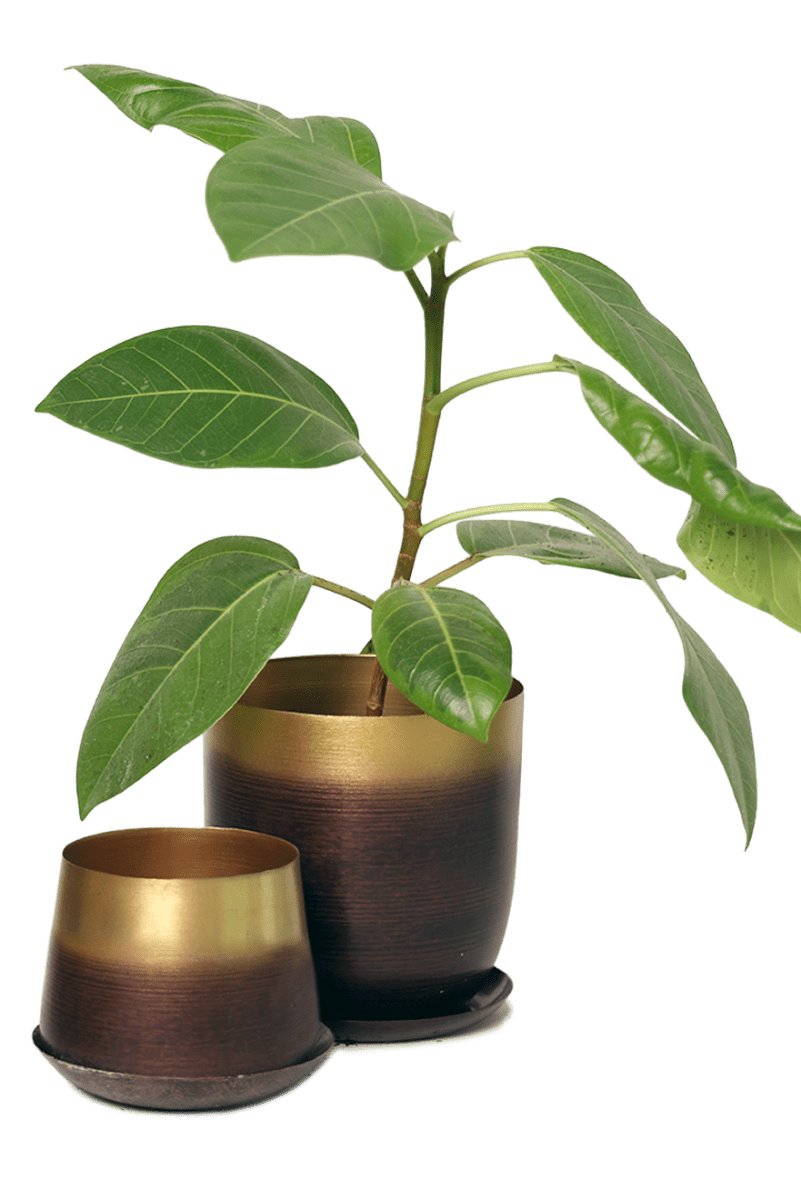 Joe Metal Pot With Drainage Hole - Chive US Wholesale