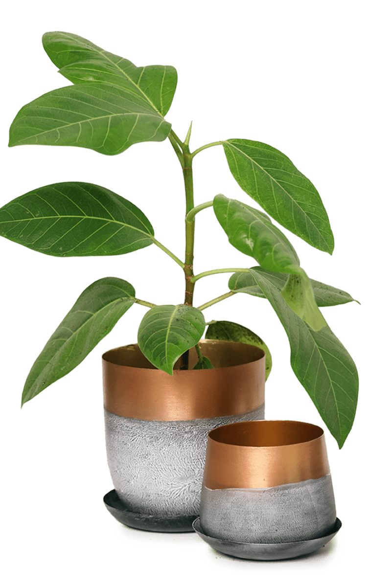 Joe Metal Pot With Drainage Hole - Chive US Wholesale