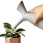 Jessie Ceramic Watering Jug - Chive US Wholesale