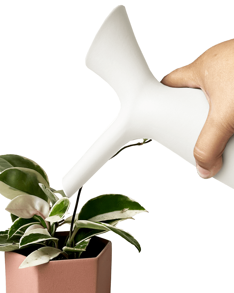 Jessie Ceramic Water Jug Kit - Chive US Wholesale