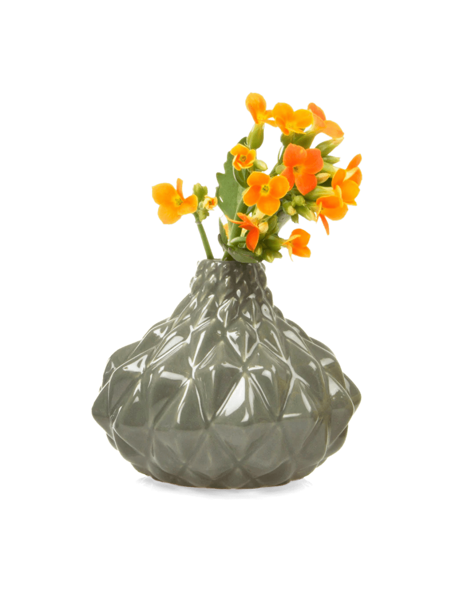 Juvel Ceramic Geometric Flower Vase Kit - Chive US Wholesale