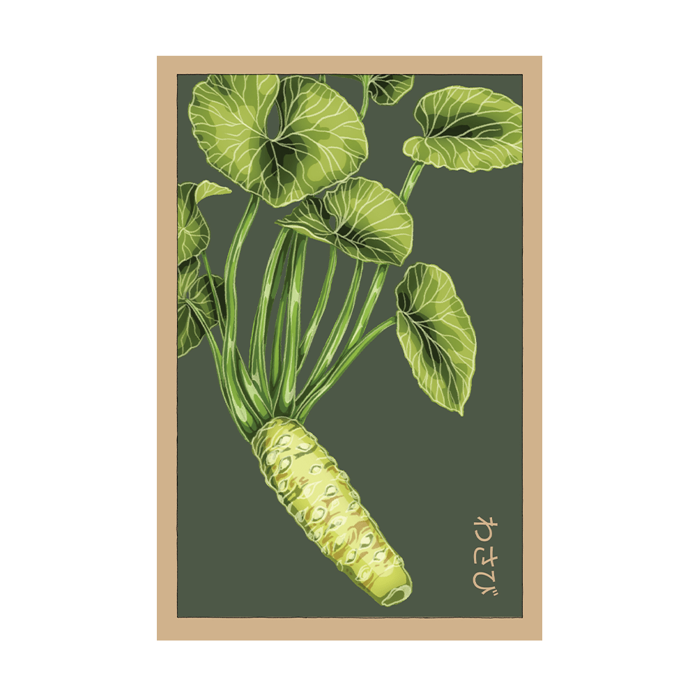 Japanese Wasabi Vegetable Seeds Packet - Chive US Wholesale