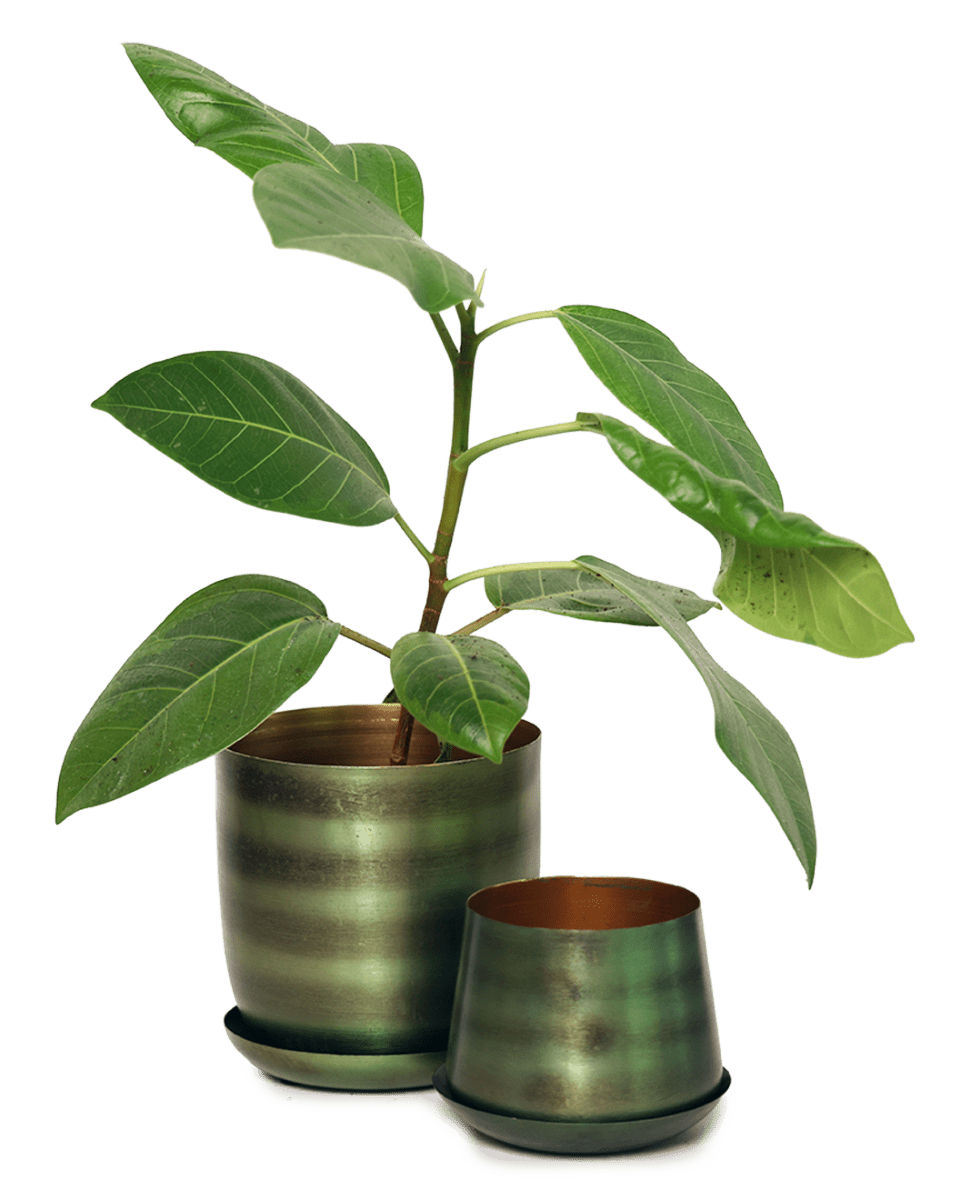 Joe Metal Pot With Drainage Hole - Chive US Wholesale