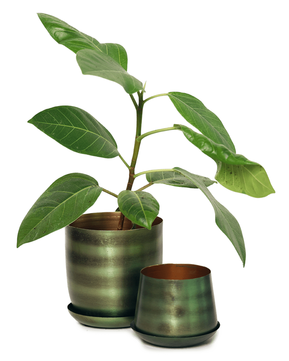 Joe Metal Pot With Drainage Hole - Chive US Wholesale