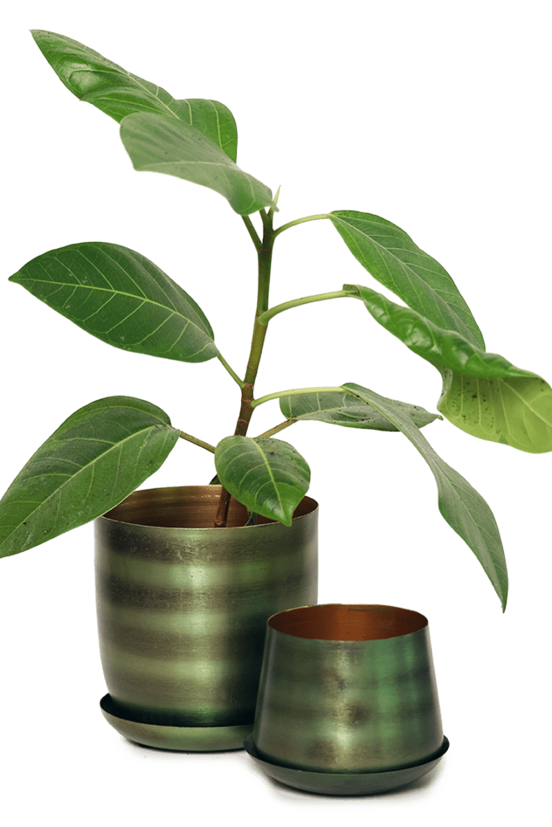 Joe Metal Pot With Drainage Hole - Chive US Wholesale