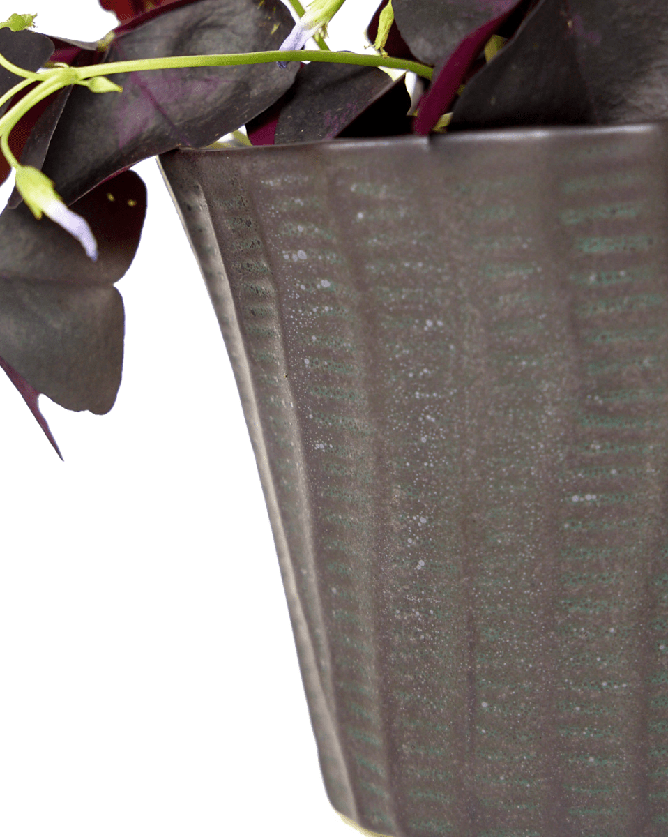 Katakana Ceramic Pot Planter - Chive US Wholesale