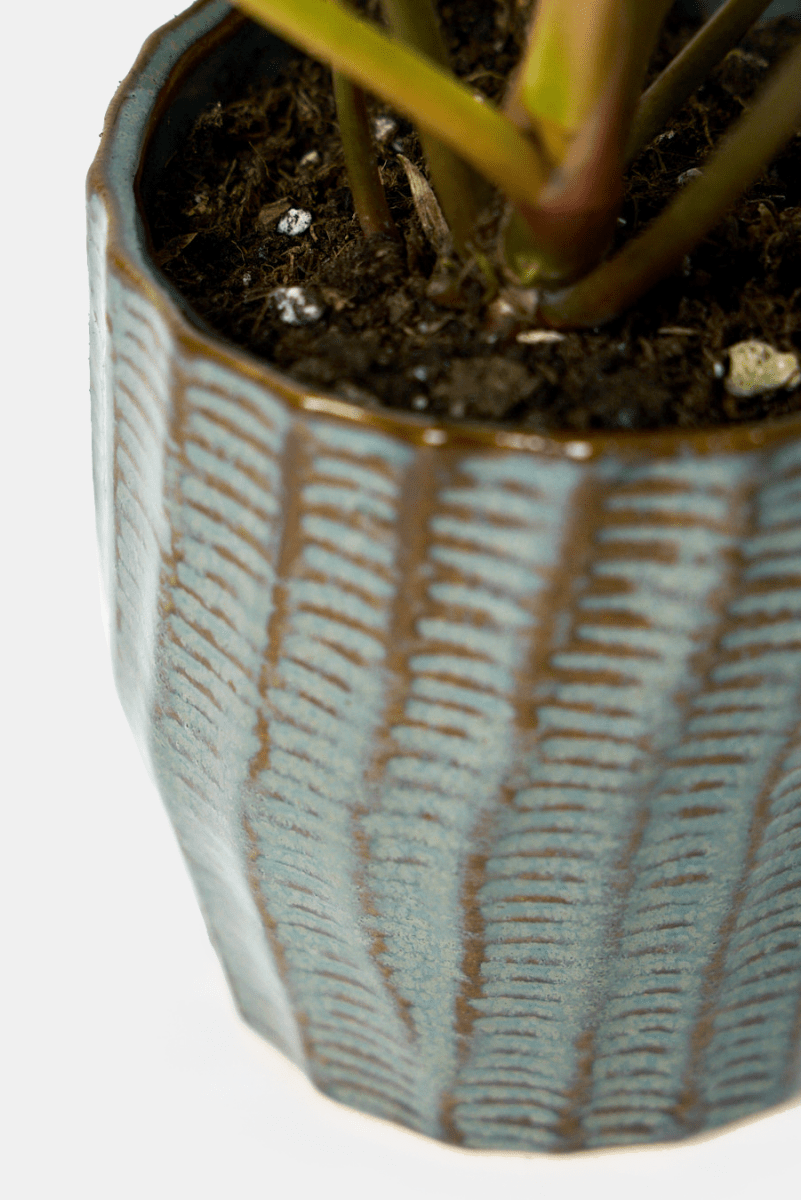 Katakana Ceramic Pot Planter - Chive US Wholesale