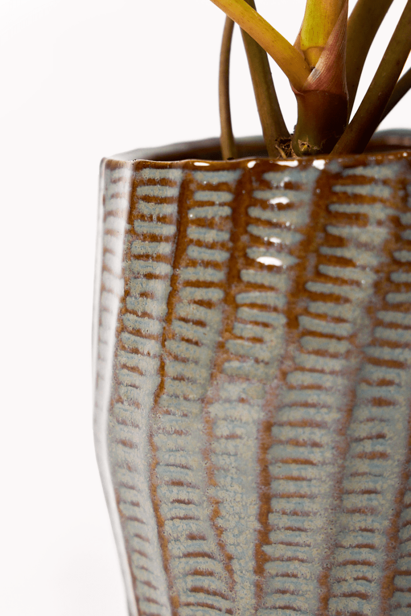 Katakana Ceramic Pot Planter - Chive US Wholesale