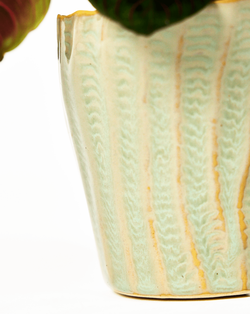 Katakana Ceramic Pot Planter - Chive US Wholesale