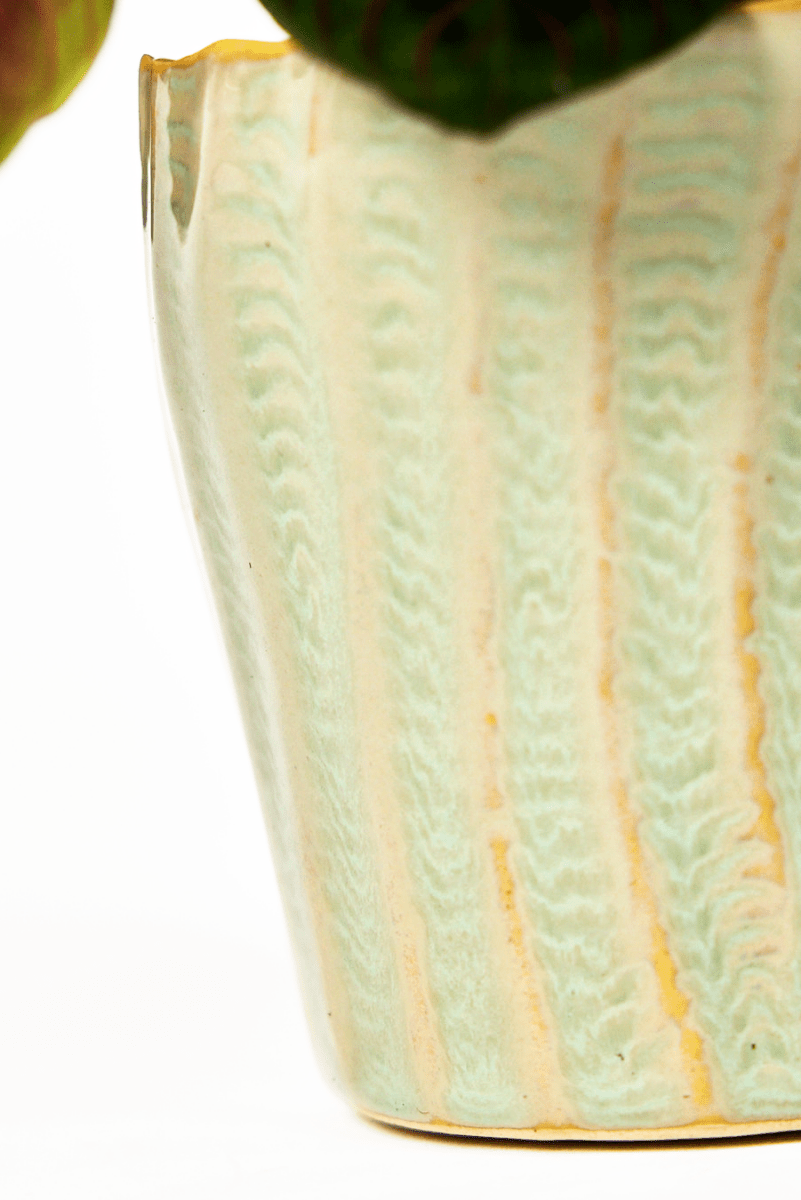 Katakana Ceramic Pot Planter - Chive US Wholesale
