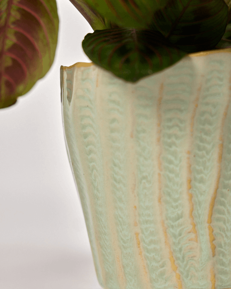 Katakana Ceramic Pot Planter - Chive US Wholesale