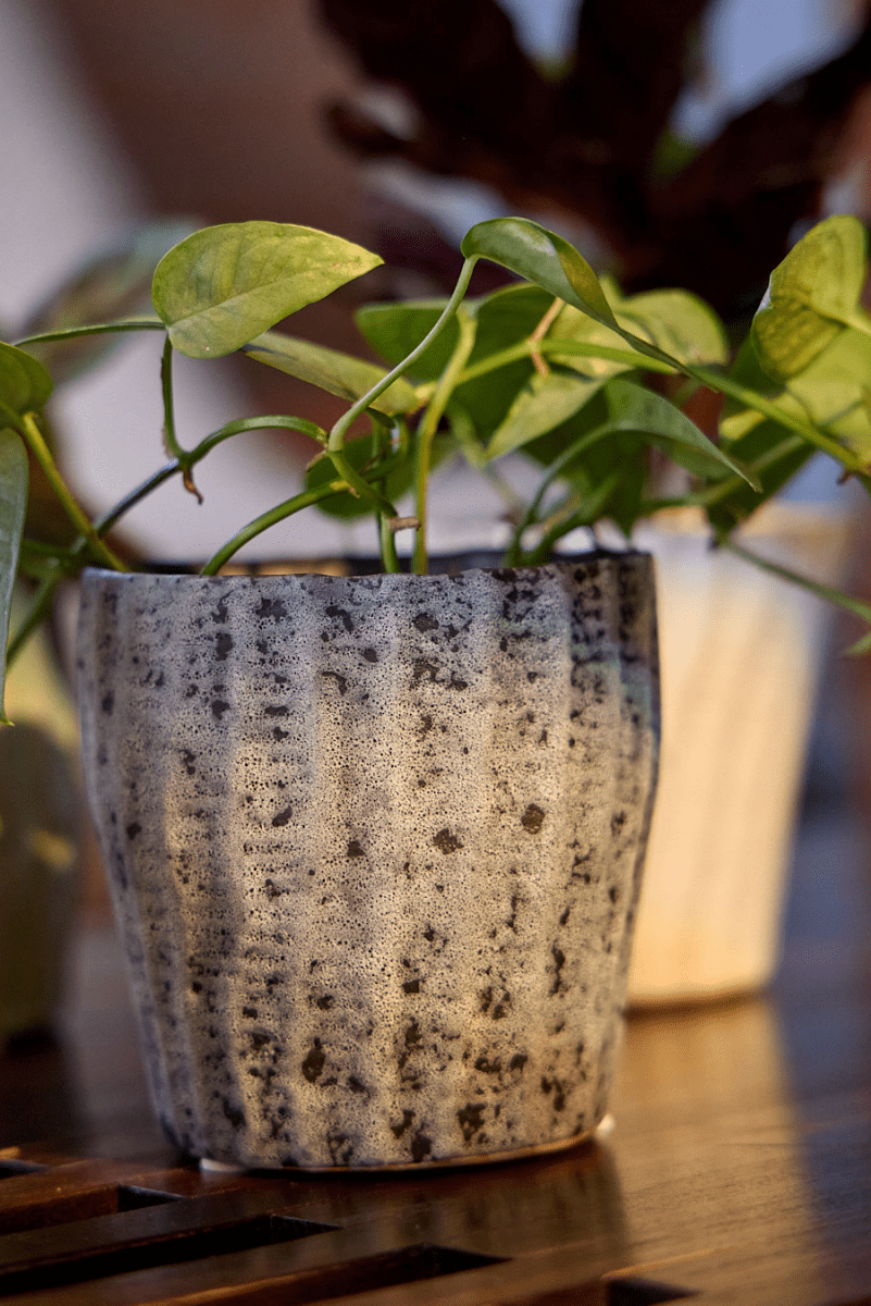 Katakana Ceramic Pot Planter - Chive US Wholesale