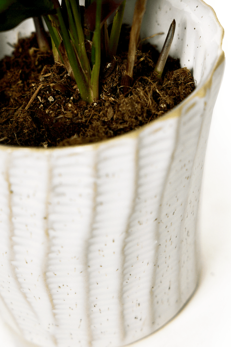 Katakana Ceramic Pot Planter - Chive US Wholesale
