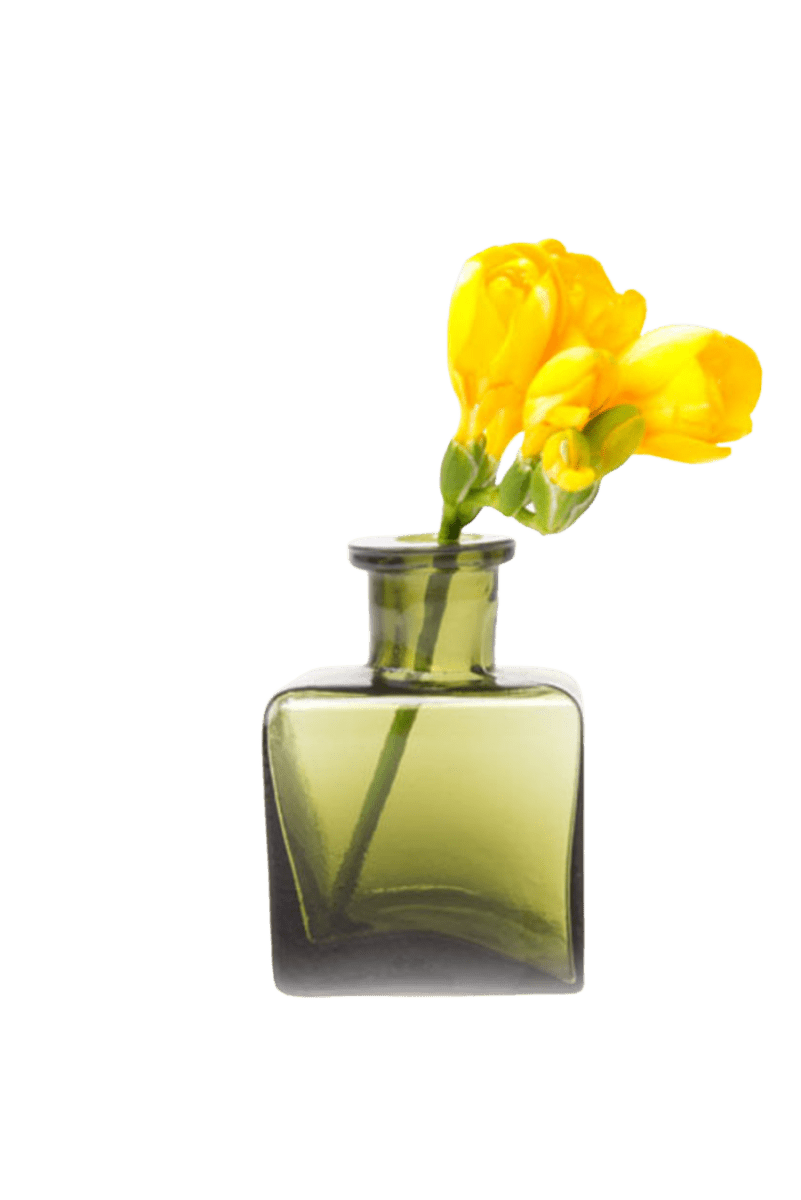 Loft Glass Vintage Bud Vases Kits - Chive US Wholesale