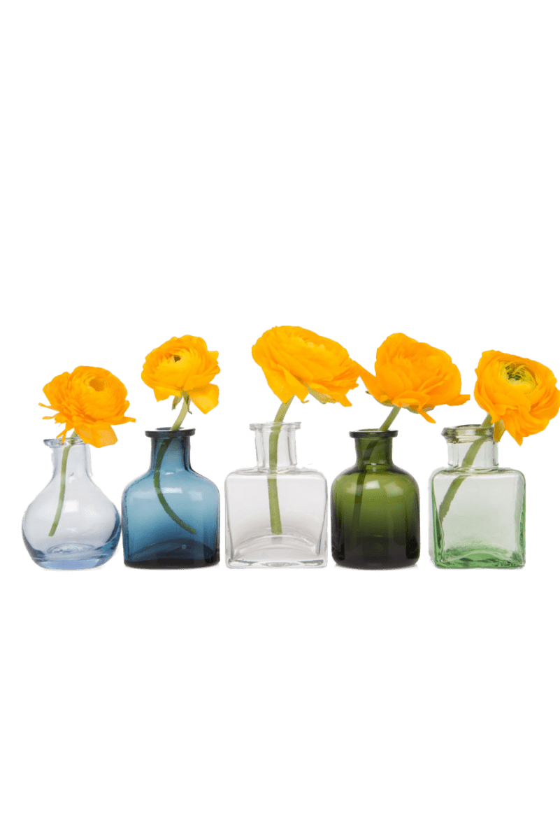 Loft Glass Vintage Bud Vases Kits - Chive US Wholesale