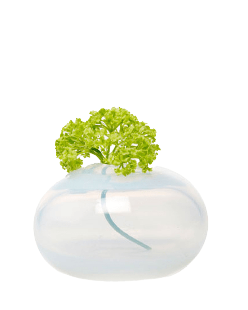 Ligne Glass Modern Flower Vase - Chive US Wholesale
