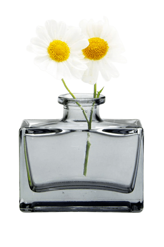 Loft Glass Vintage Bud Vases For Weddings - Chive US Wholesale