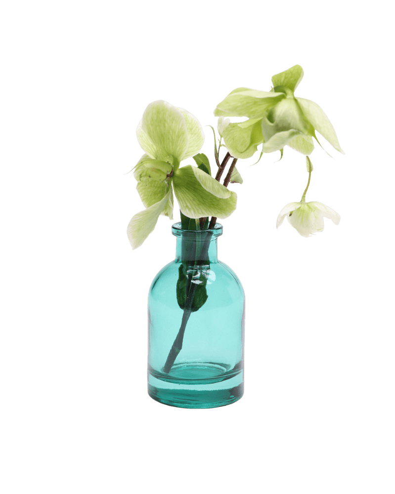 Loft Glass Vintage Bud Vases For Weddings - Chive US Wholesale