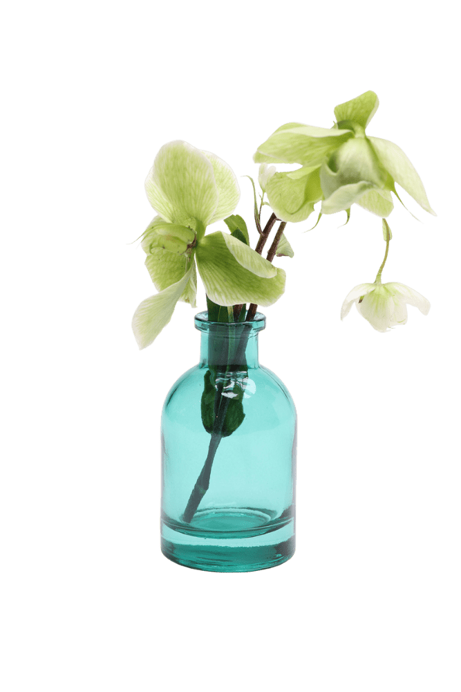Loft Glass Vintage Bud Vases For Weddings - Chive US Wholesale