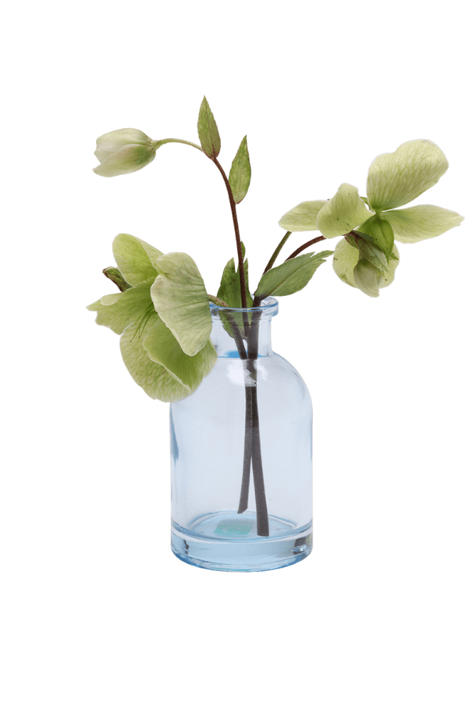 Loft Glass Vintage Bud Vases For Weddings - Chive US Wholesale