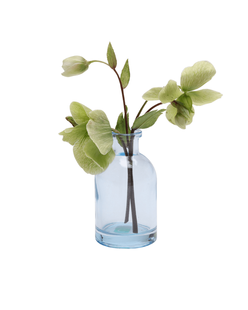 Loft Glass Vintage Bud Vases For Weddings - Chive US Wholesale