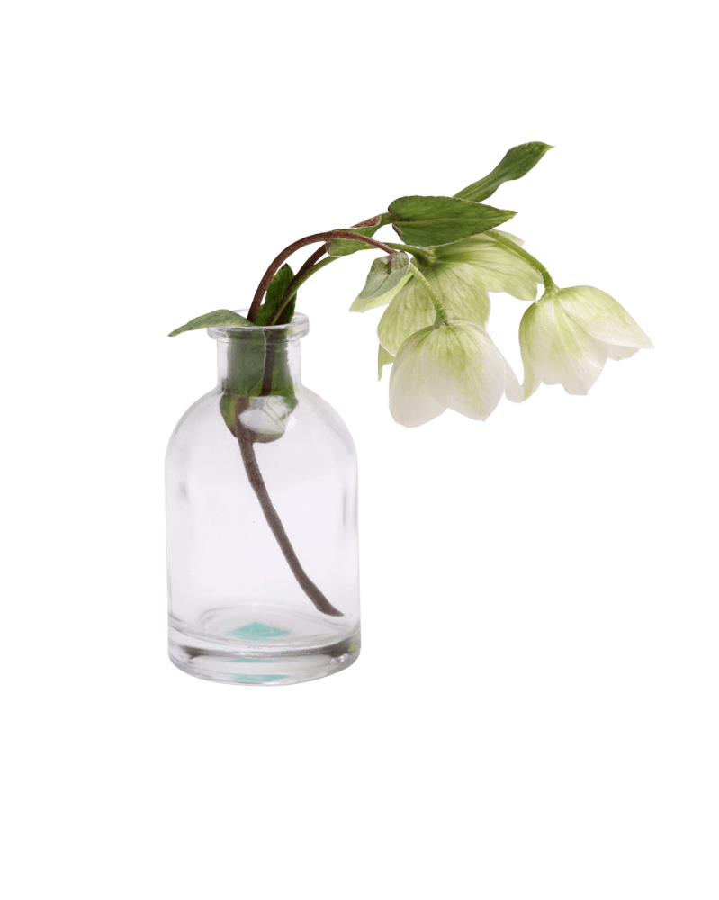 Loft Glass Vintage Bud Vases For Weddings - Chive US Wholesale