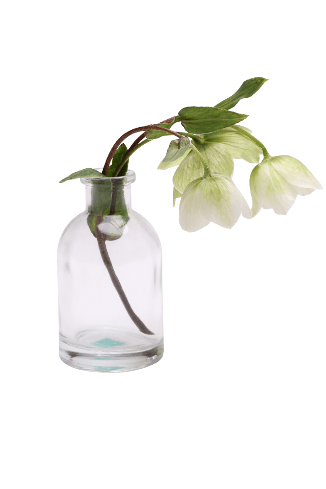 Loft Glass Vintage Bud Vases For Weddings - Chive US Wholesale