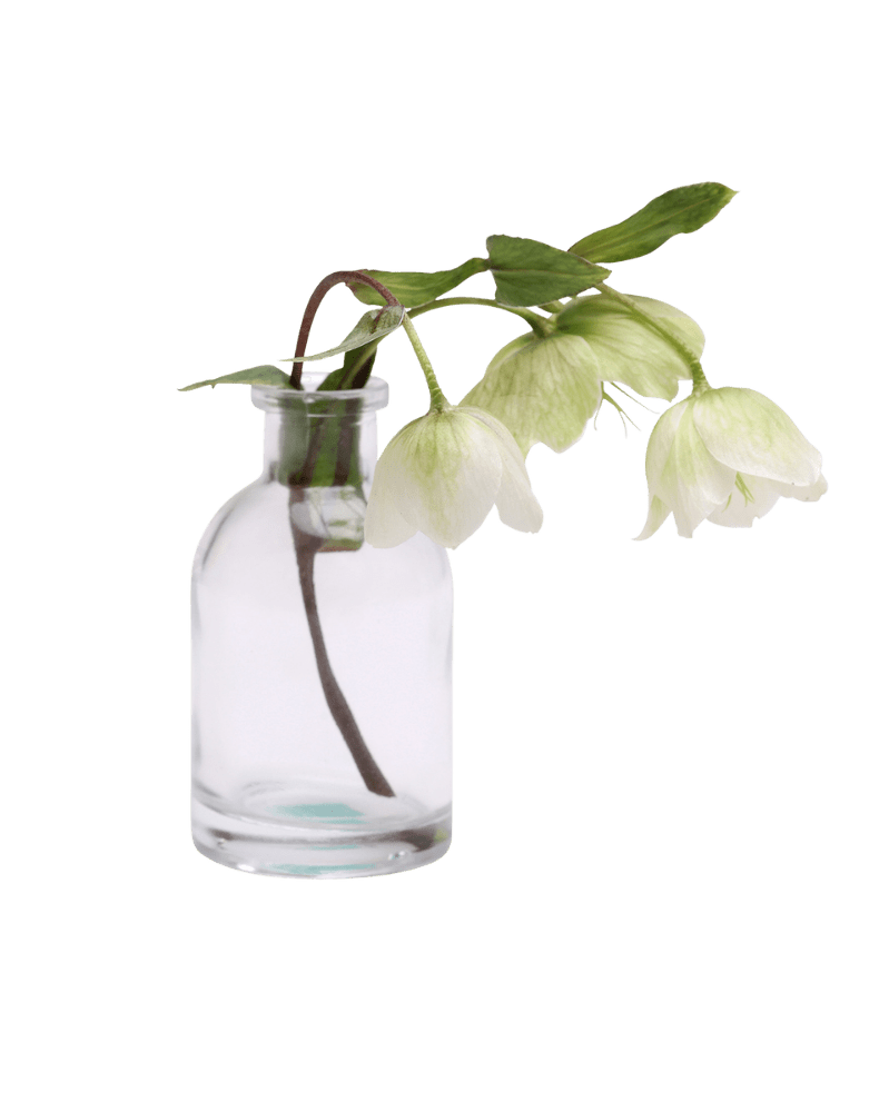 Loft Glass Vintage Bud Vases For Weddings - Chive US Wholesale