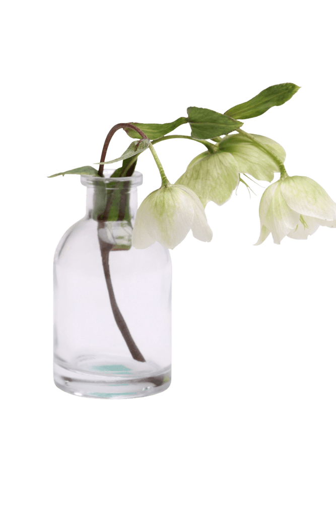 Loft Glass Vintage Bud Vases For Weddings - Chive US Wholesale