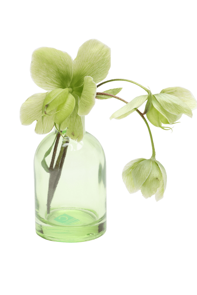 Loft Glass Vintage Bud Vases For Weddings - Chive US Wholesale