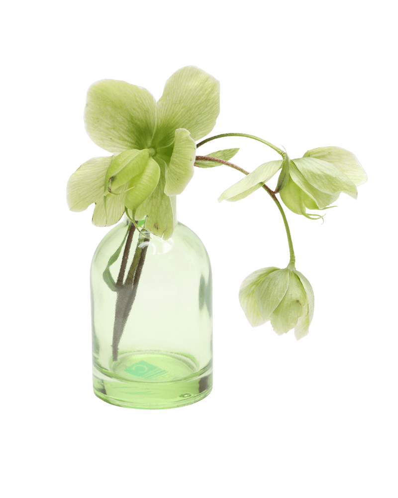 Loft Glass Vintage Bud Vases For Weddings - Chive US Wholesale